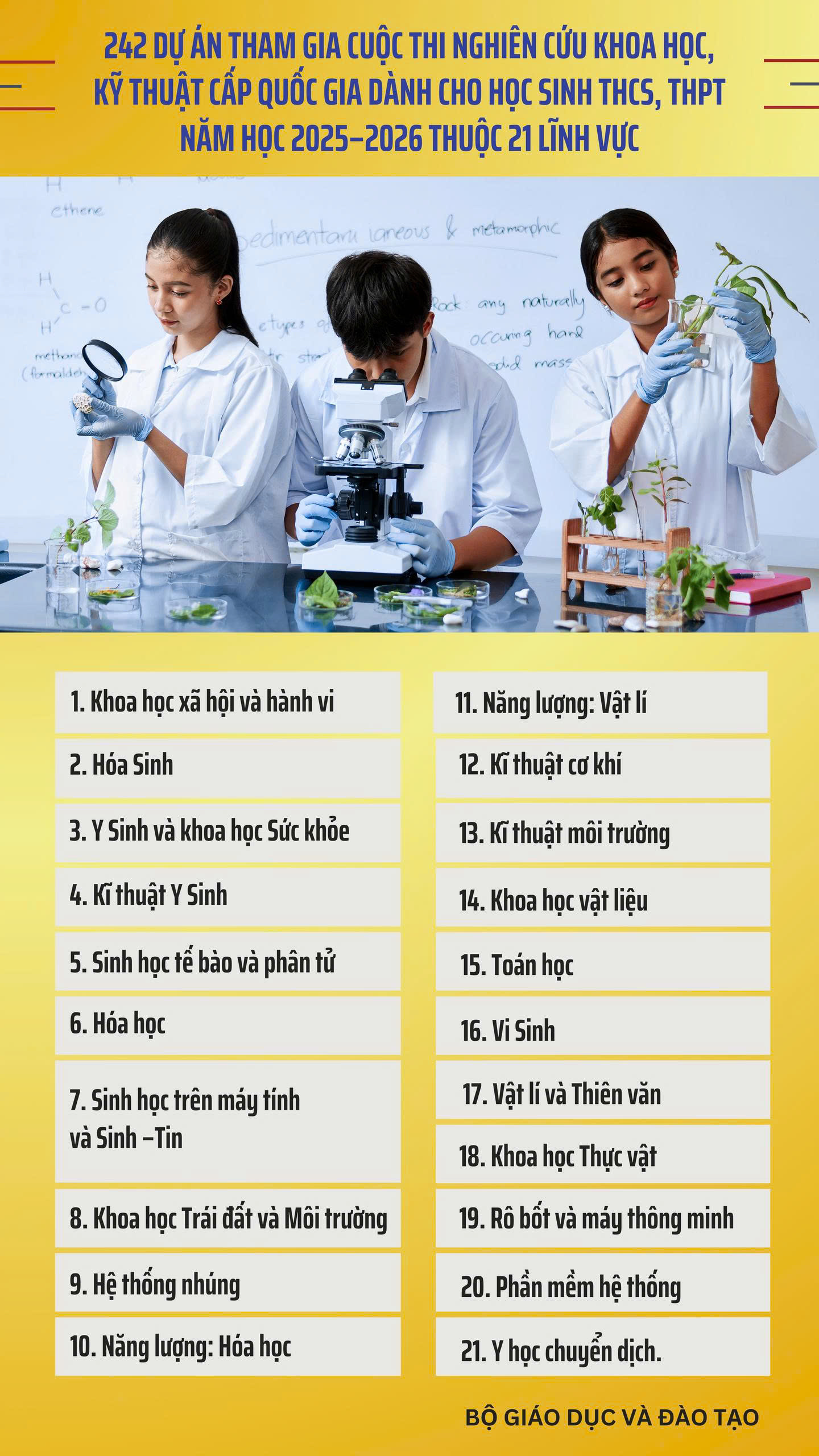 Các lĩnh vực cuộc thi